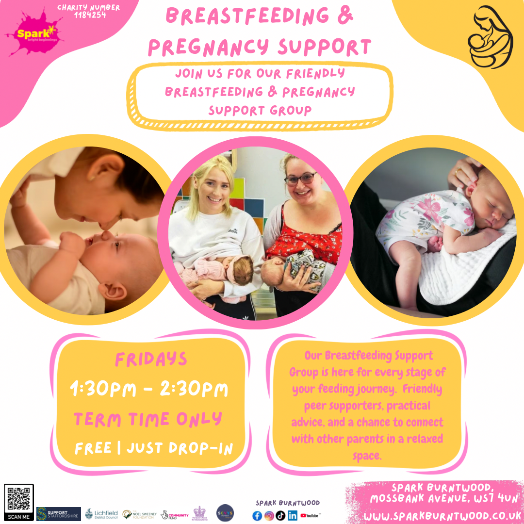 Breastfeeding and Pregnancy Support