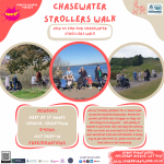 Chasewater Strollers Buggy Walk